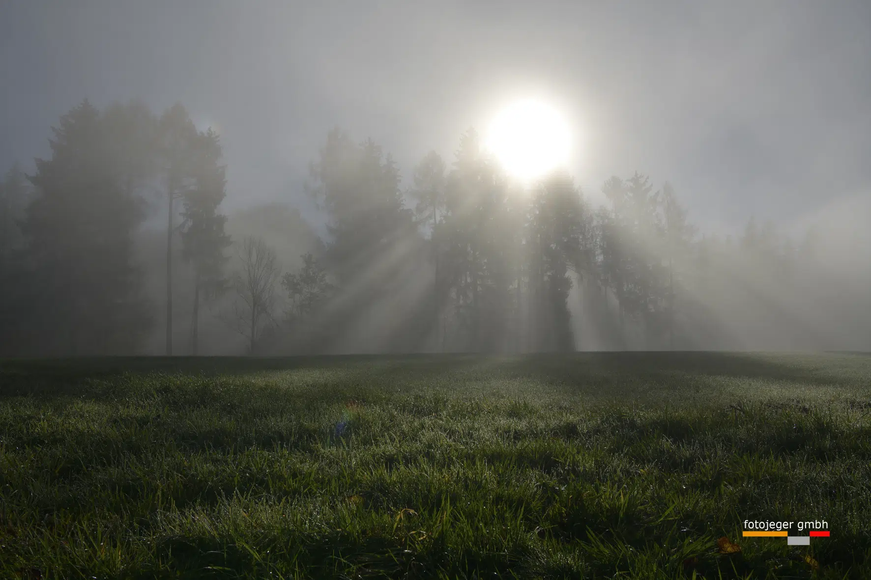 SCHWEIZ BERN OBERAARGAU ROGGWIL