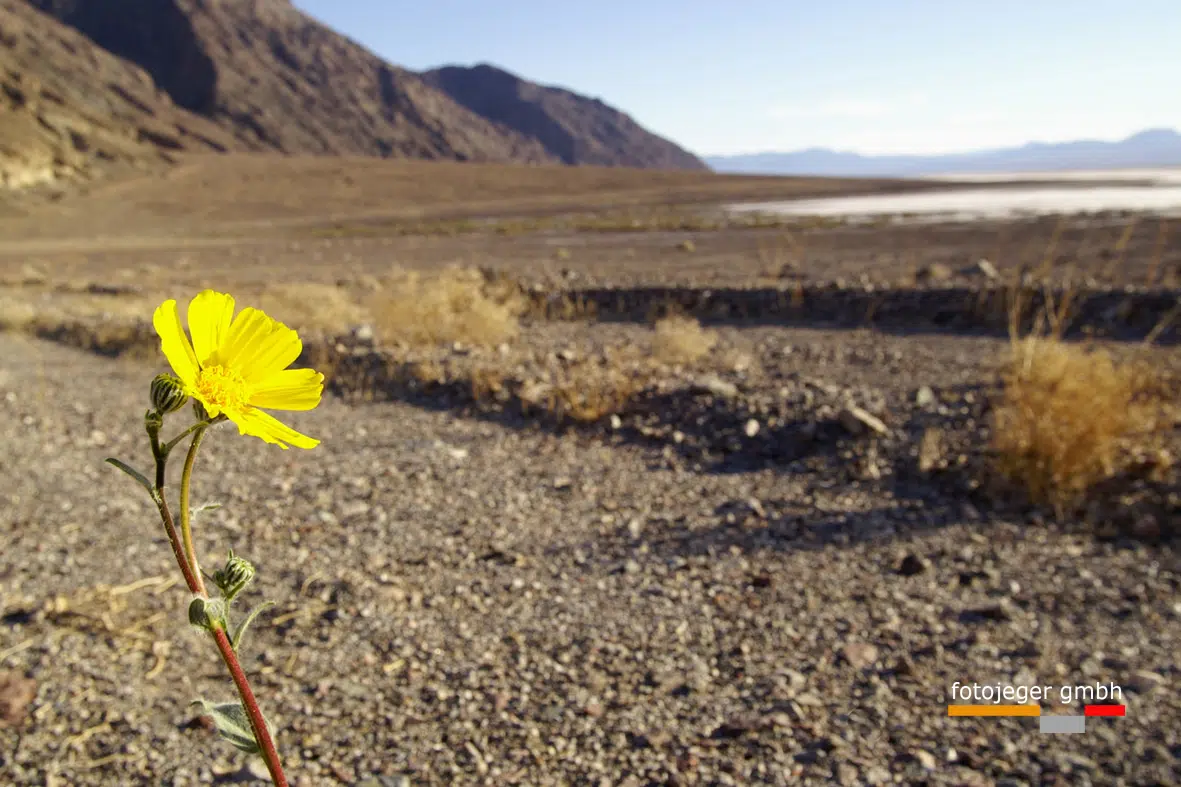 Death Valley Februar 2006